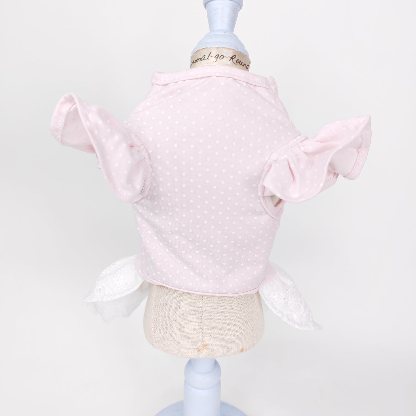 Animal-Go-Round เสื้อผ้าเครื่องแต่งกาย สัตว์เลี้ยง, หมา, แมว, สุนัข รุ่น Chérie Lace