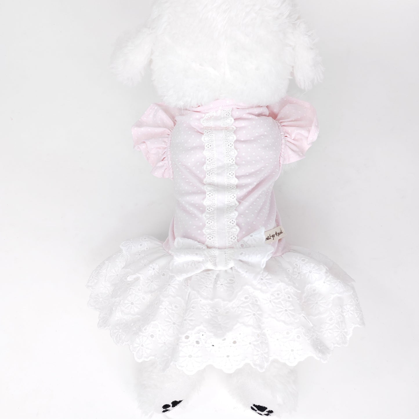 Animal-Go-Round เสื้อผ้าเครื่องแต่งกาย สัตว์เลี้ยง, หมา, แมว, สุนัข รุ่น Chérie Lace