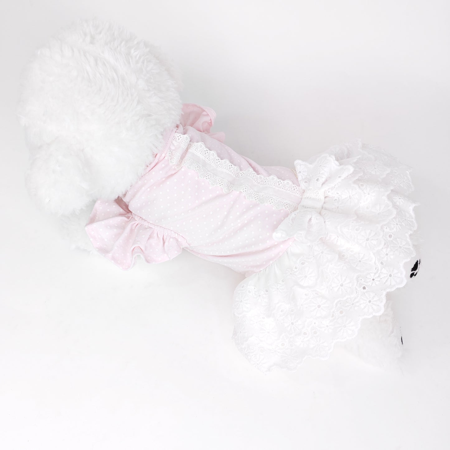 Animal-Go-Round เสื้อผ้าเครื่องแต่งกาย สัตว์เลี้ยง, หมา, แมว, สุนัข รุ่น Chérie Lace