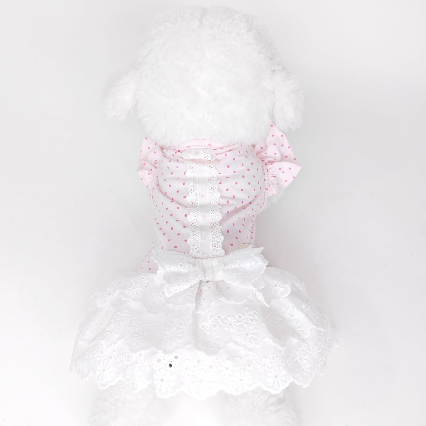 Animal-Go-Round เสื้อผ้าเครื่องแต่งกาย สัตว์เลี้ยง, หมา, แมว, สุนัข รุ่น Chérie Lace Pink Dot