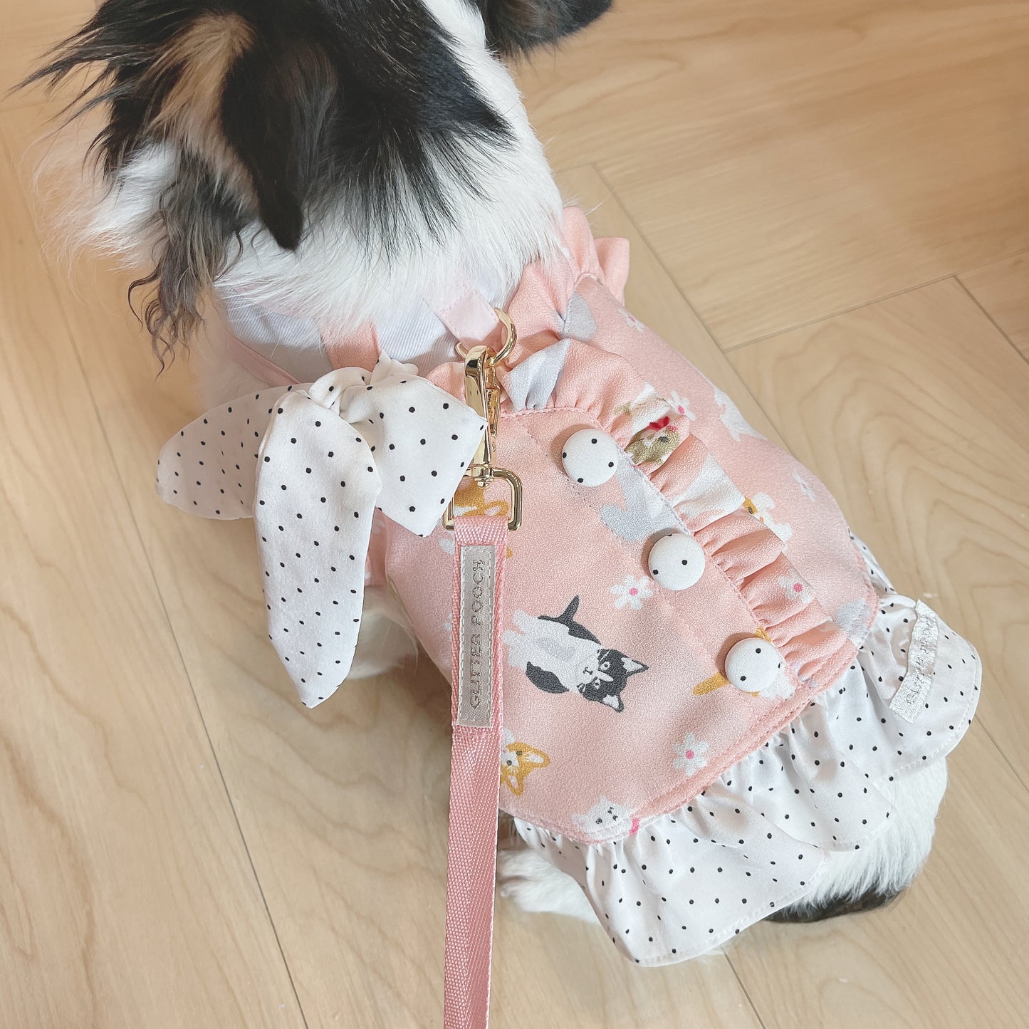 Glitter Pooch Harness ชุดรัดอก สายจูง เสื้อผ้า สุนัข, หมา, แมว, สัตว์เลี้ยง พร้อม สายจูง รุ่น Meaw Blooming Tail