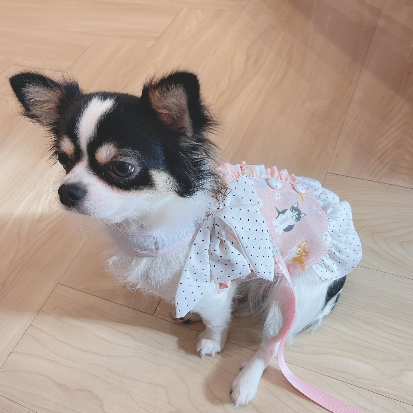 Glitter Pooch Harness ชุดรัดอก สายจูง เสื้อผ้า สุนัข, หมา, แมว, สัตว์เลี้ยง พร้อม สายจูง รุ่น Meaw Blooming Tail