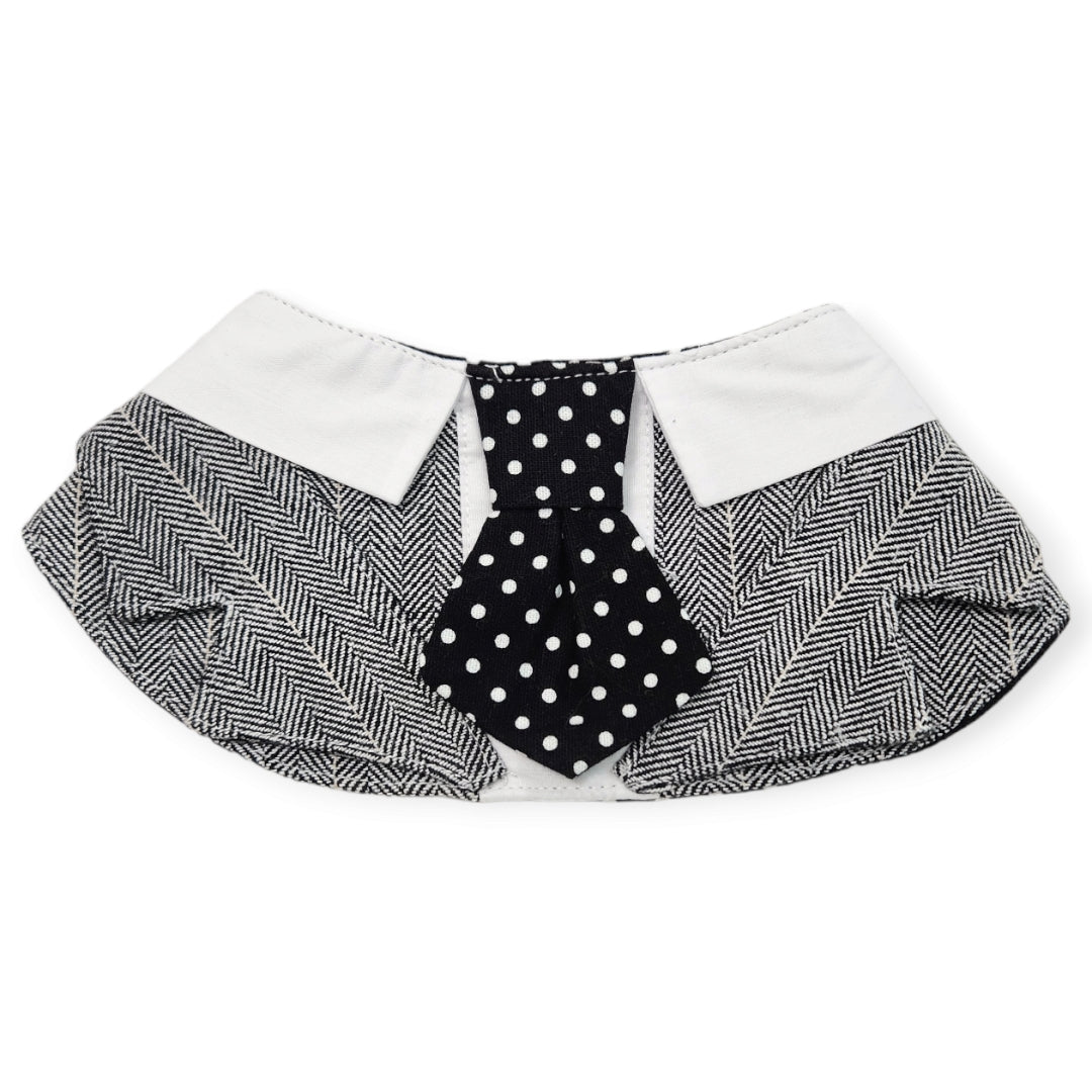 Cotton Tail ปลอกคอและผ้าคลุมไหล่ สัตว์เลี้ยง, หมา, แมว, สุนัข รุ่น Gentlepaw Dot Tie Inky