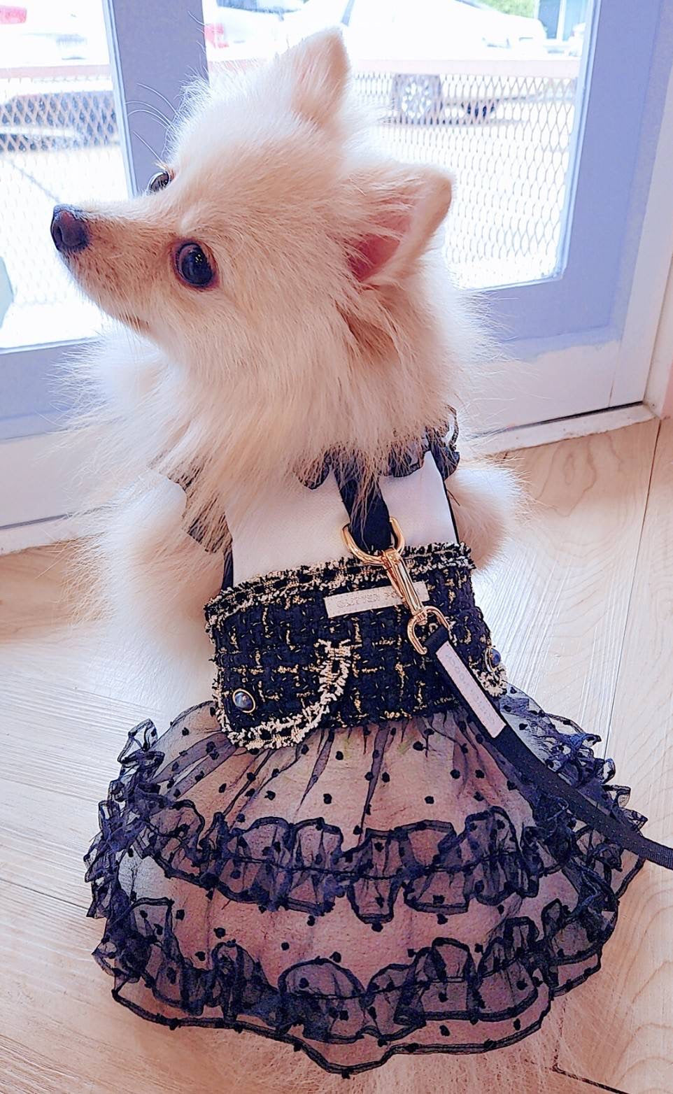 Glitter Pooch Harness ชุดรัดอก สายจูง เสื้อผ้า สุนัข, หมา, แมว, สัตว์เลี้ยง พร้อม สายจูง รุ่น Sassy Emily Black