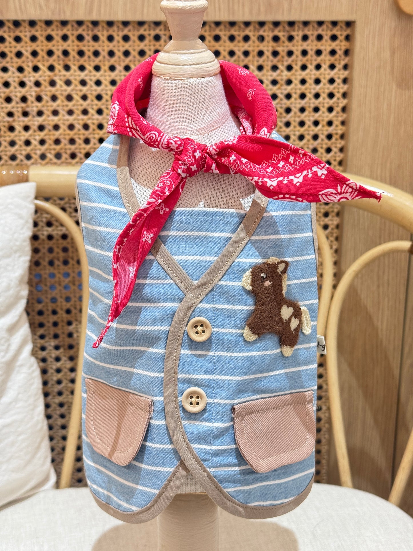 Animal-Go-Round เสื้อผ้าเครื่องแต่งกาย สัตว์เลี้ยง, หมา, แมว, สุนัข รุ่น Pony Picnic - Boy