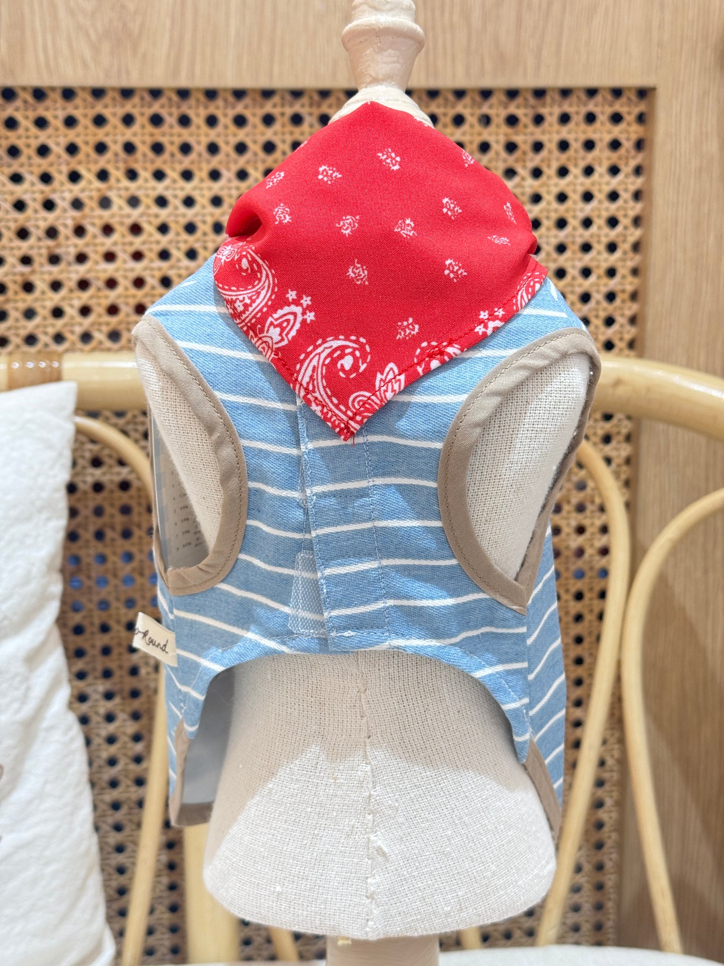 Animal-Go-Round เสื้อผ้าเครื่องแต่งกาย สัตว์เลี้ยง, หมา, แมว, สุนัข รุ่น Pony Picnic - Boy
