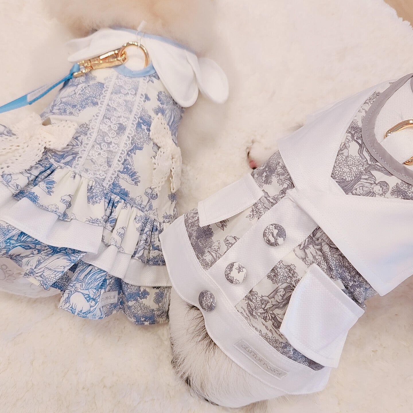 Glitter Pooch Harness ชุดรัดอก สายจูง เสื้อผ้า สุนัข, หมา, แมว, สัตว์เลี้ยง พร้อม สายจูง รุ่น Monte Romance