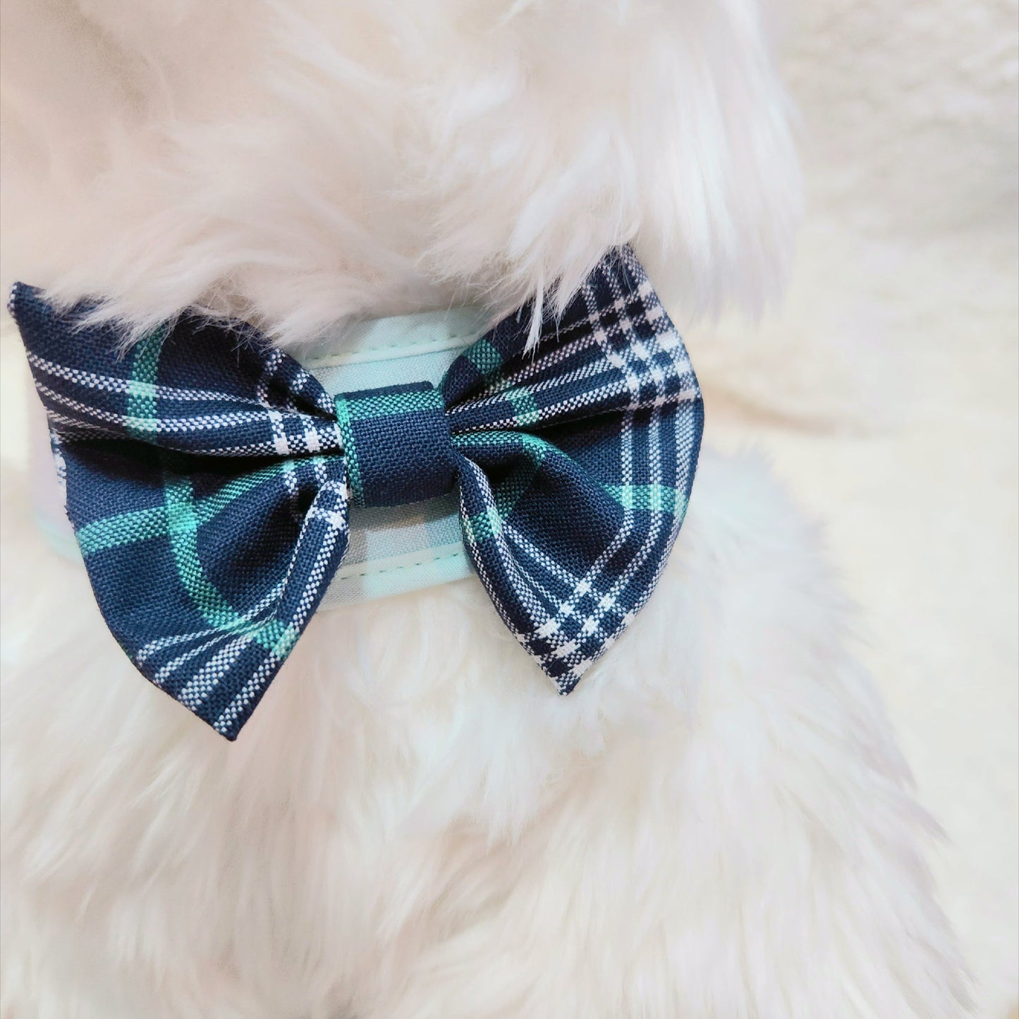 Glitter Pooch Harness ชุดรัดอก สายจูง เสื้อผ้า สุนัข, หมา, แมว, สัตว์เลี้ยง พร้อม สายจูง รุ่น Mint Suit Gentleman