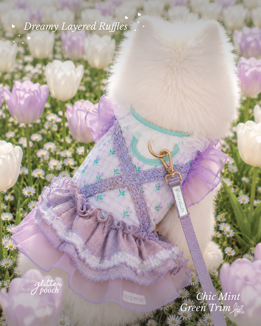 Glitter Pooch Harness ชุดรัดอก สายจูง เสื้อผ้า สุนัข, หมา, แมว, สัตว์เลี้ยง พร้อม สายจูง รุ่น Blushing Tulip Girl