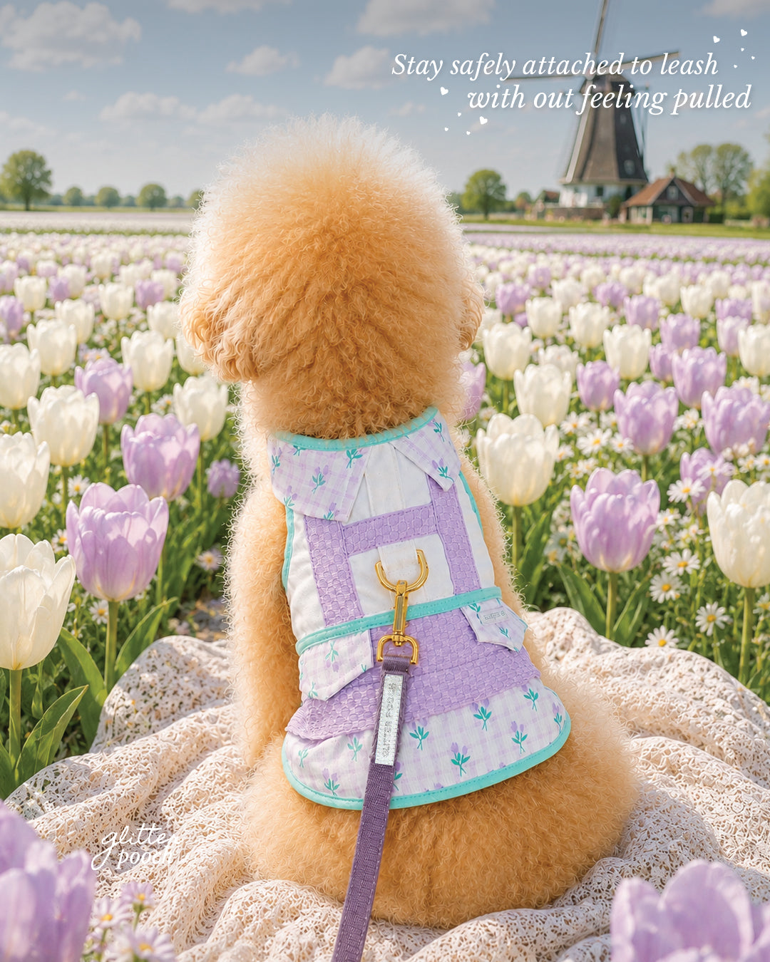 Glitter Pooch Harness ชุดรัดอก สายจูง เสื้อผ้า สุนัข, หมา, แมว, สัตว์เลี้ยง พร้อม สายจูง รุ่น Blushing Tulip Boy
