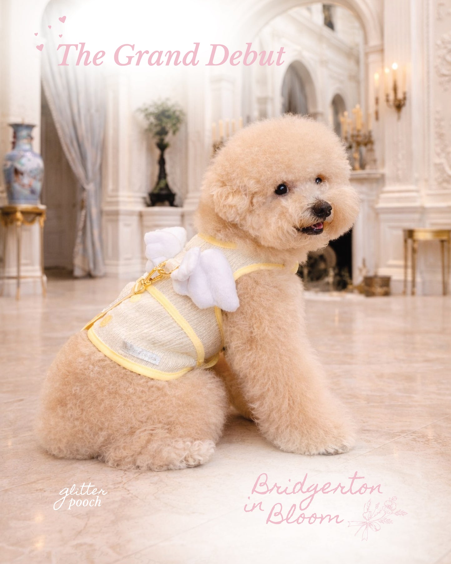 Glitter Pooch Harness ชุดรัดอก สายจูง เสื้อผ้า สุนัข, หมา, แมว, สัตว์เลี้ยง พร้อม สายจูง รุ่น Little Duke Wings - Butter Cream