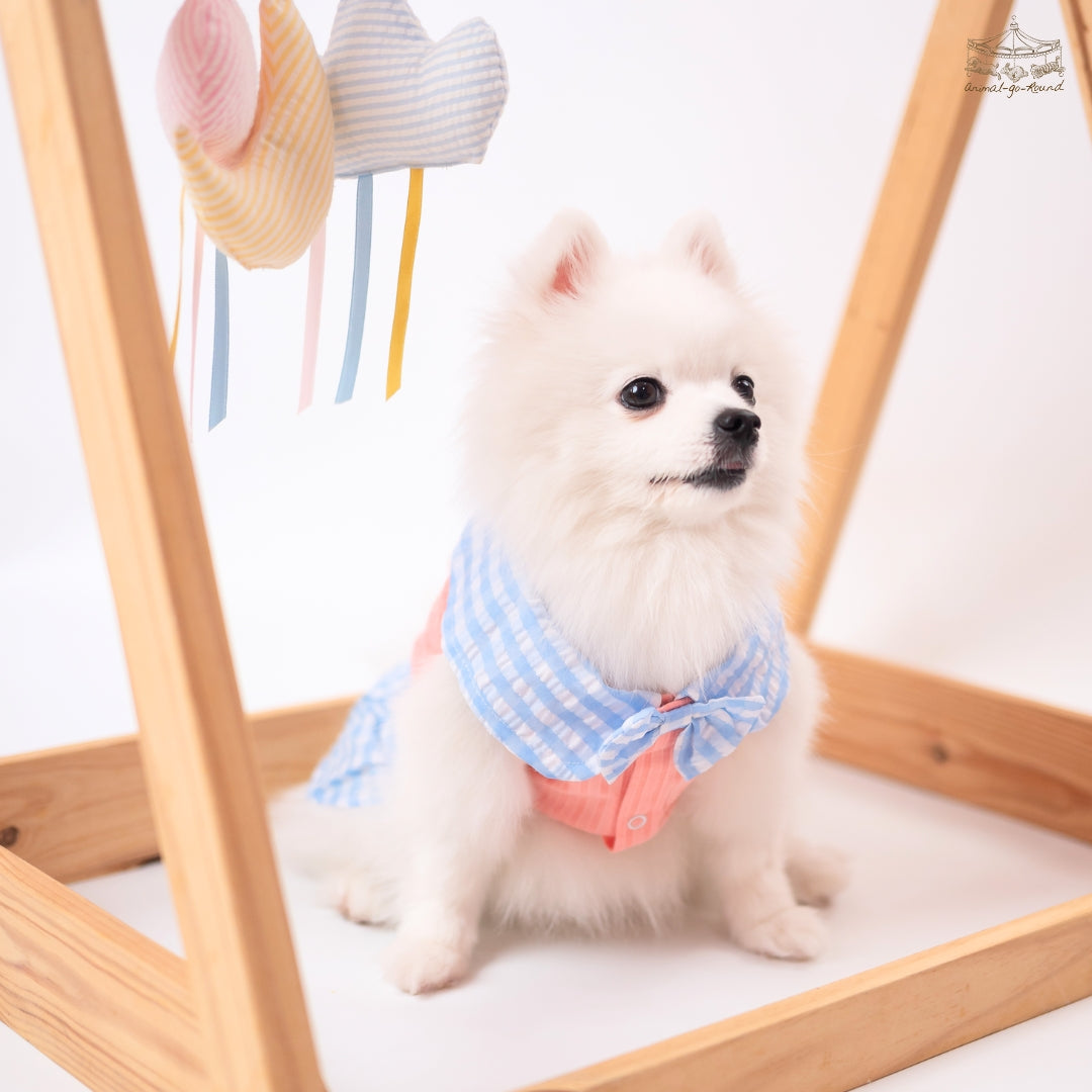 Animal-Go-Round เสื้อผ้าเครื่องแต่งกาย สัตว์เลี้ยง, หมา, แมว, สุนัข รุ่น Kiddo Panda Girl
