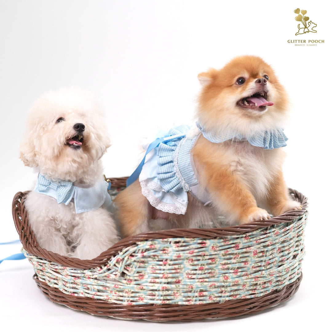 Glitter Pooch Harness ชุดรัดอก สายจูง เสื้อผ้า สุนัข, หมา, แมว, สัตว์เลี้ยง พร้อม สายจูง รุ่น Peekaboo Baby Bear Girl