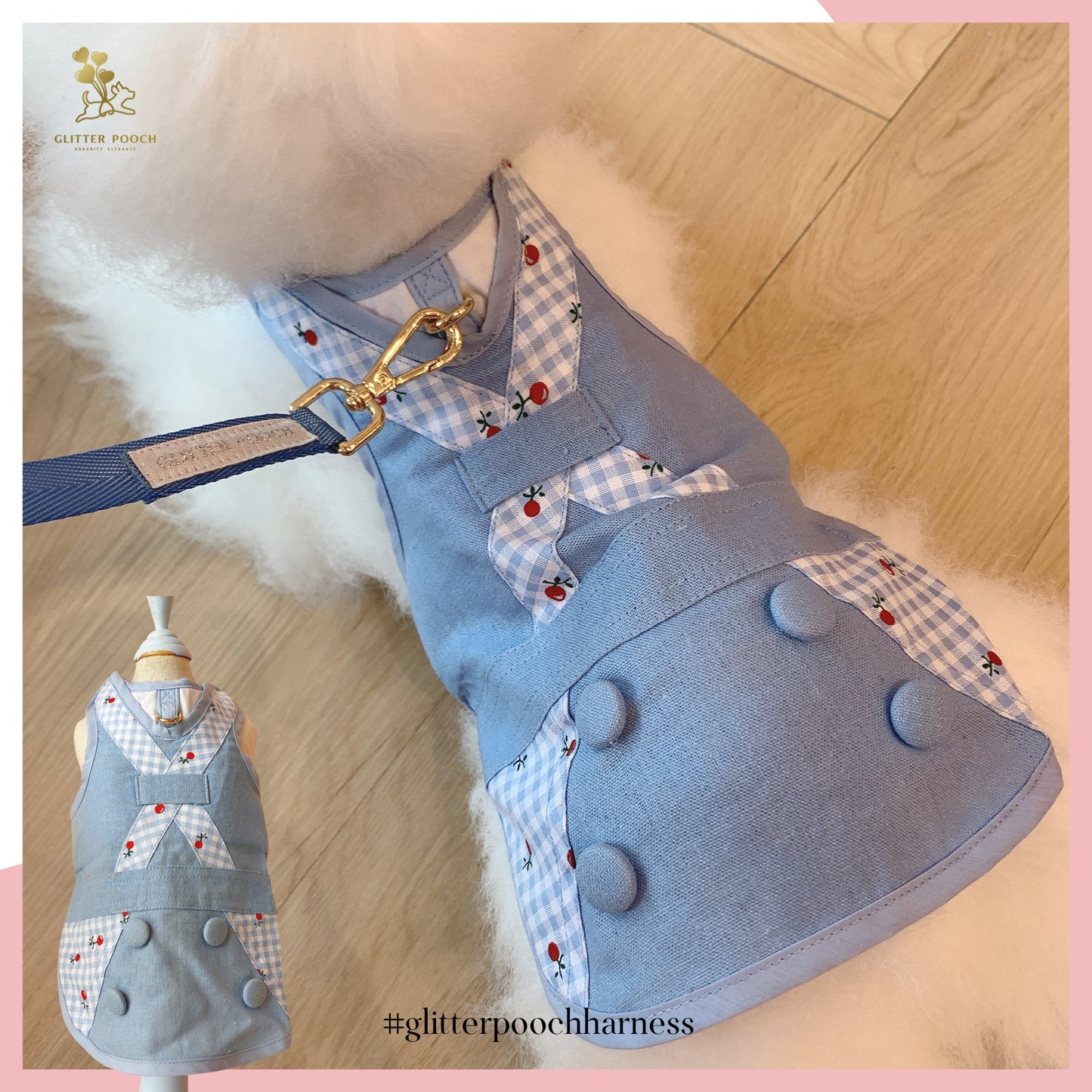Glitter Pooch ชุดรัดอก สายจูง เสื้อผ้า สุนัข, หมา, แมว, สัตว์เลี้ยง พร้อม สายจูง รุ่น Let's Picnic Boy