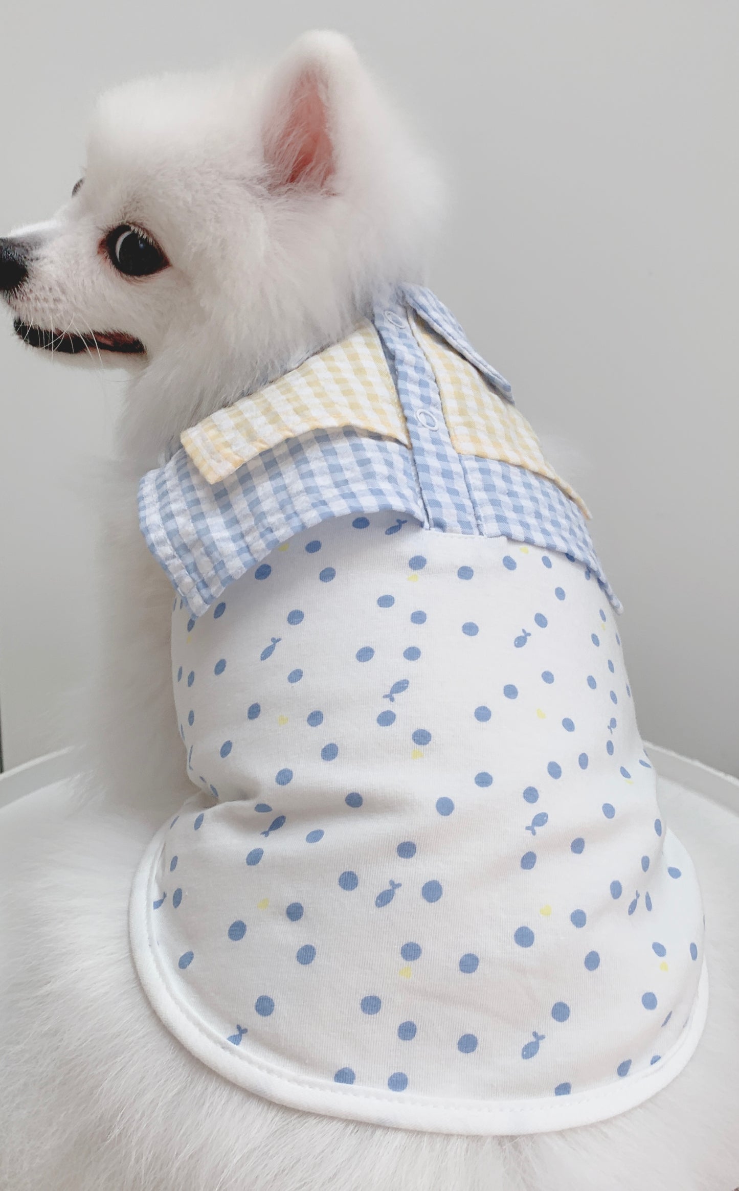 Animal-Go-Round เสื้อผ้าเครื่องแต่งกาย สัตว์เลี้ยง, หมา, แมว, สุนัข รุ่น Prom Shirt