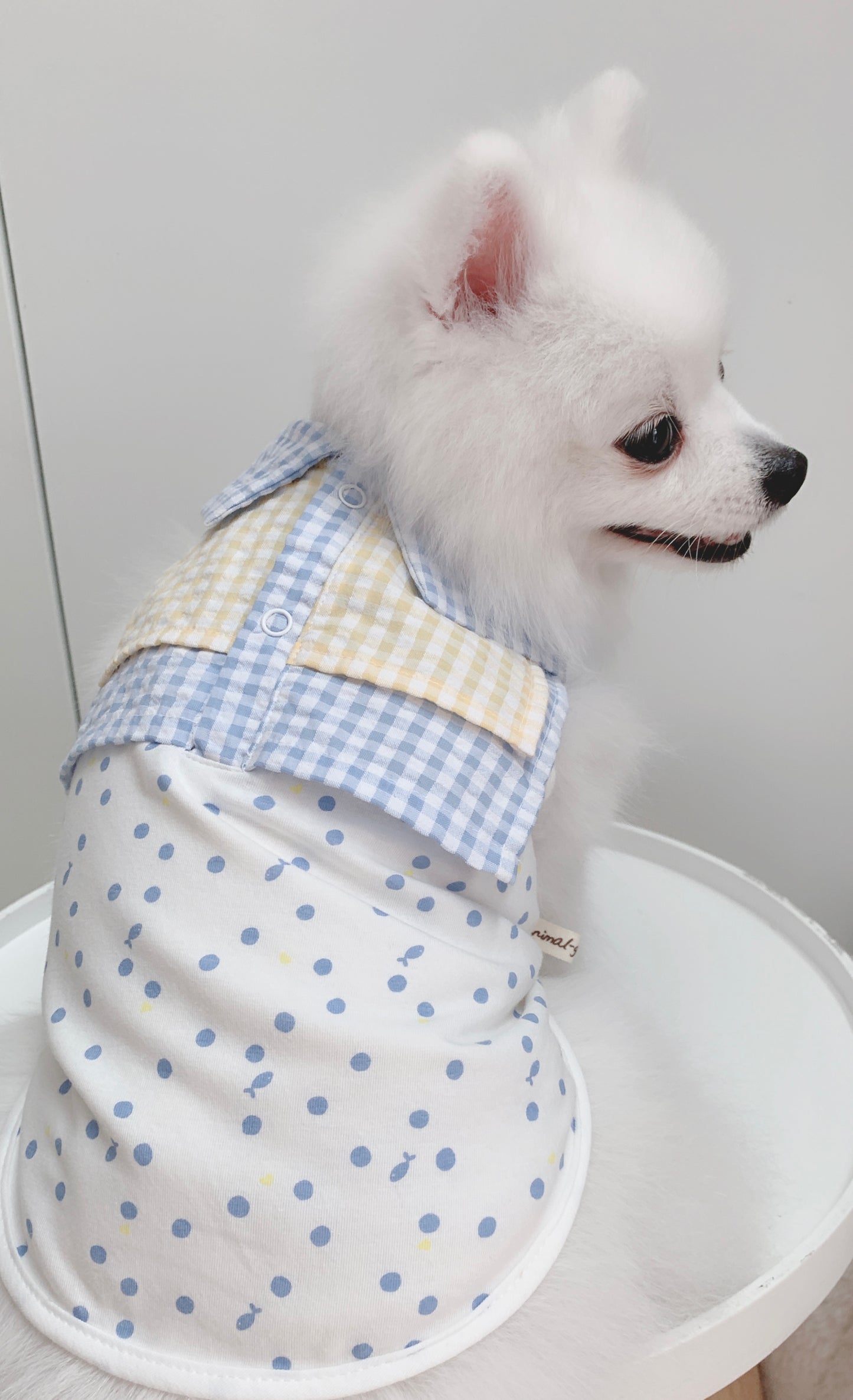 Animal-Go-Round เสื้อผ้าเครื่องแต่งกาย สัตว์เลี้ยง, หมา, แมว, สุนัข รุ่น Prom Shirt