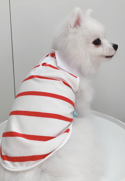 Cotton Tail เสื้อผ้าสัตว์เลี้ยง, หมา, แมว, สุนัข รุ่น Cherry Bomb