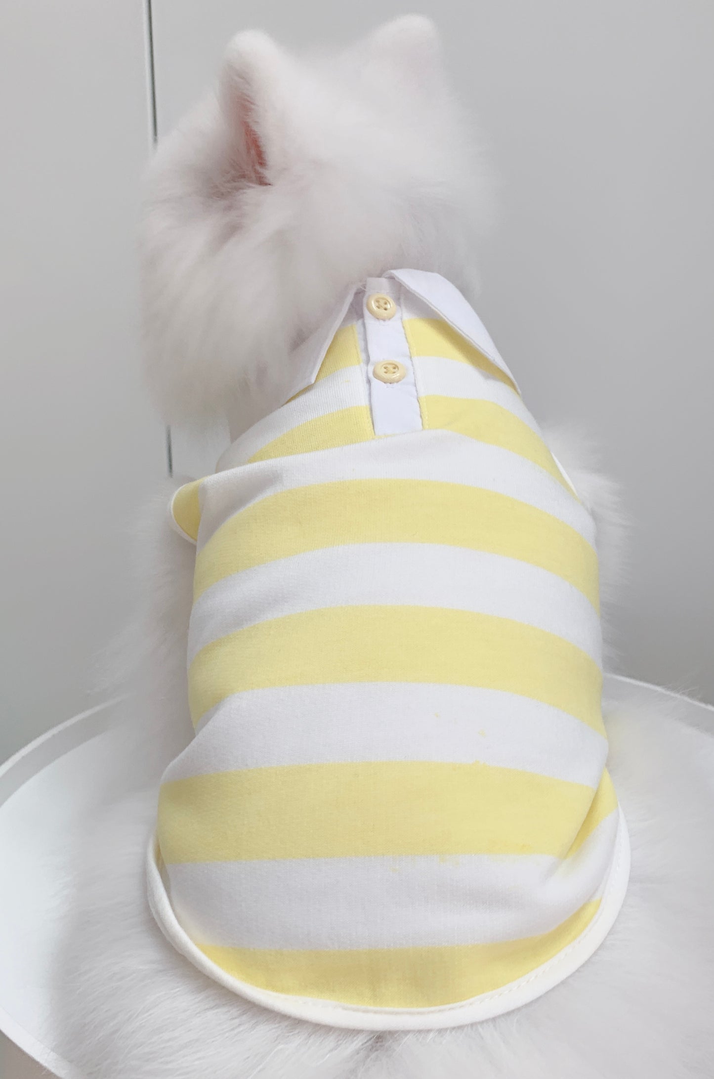 Cotton Tail เสื้อผ้าสัตว์เลี้ยง, หมา, แมว, สุนัข รุ่น Yellow Sunshine