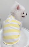 Cotton Tail เสื้อผ้าสัตว์เลี้ยง, หมา, แมว, สุนัข รุ่น Yellow Sunshine