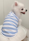 Cotton Tail เสื้อผ้าสัตว์เลี้ยง, หมา, แมว, สุนัข รุ่น Blue Sky
