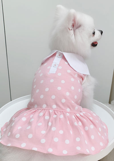 Cotton Tail เสื้อผ้าสัตว์เลี้ยง, หมา, แมว, สุนัข รุ่น Pinkie Pie