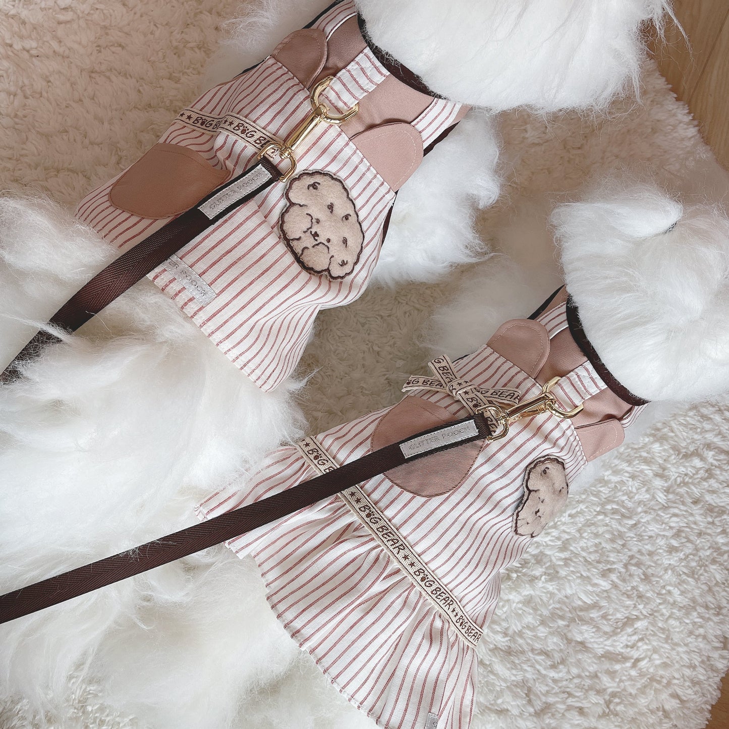 Glitter Pooch Harness ชุดรัดอก สายจูง เสื้อผ้า สุนัข, หมา, แมว, สัตว์เลี้ยง พร้อม สายจูง รุ่น Brownie Cookie Boy