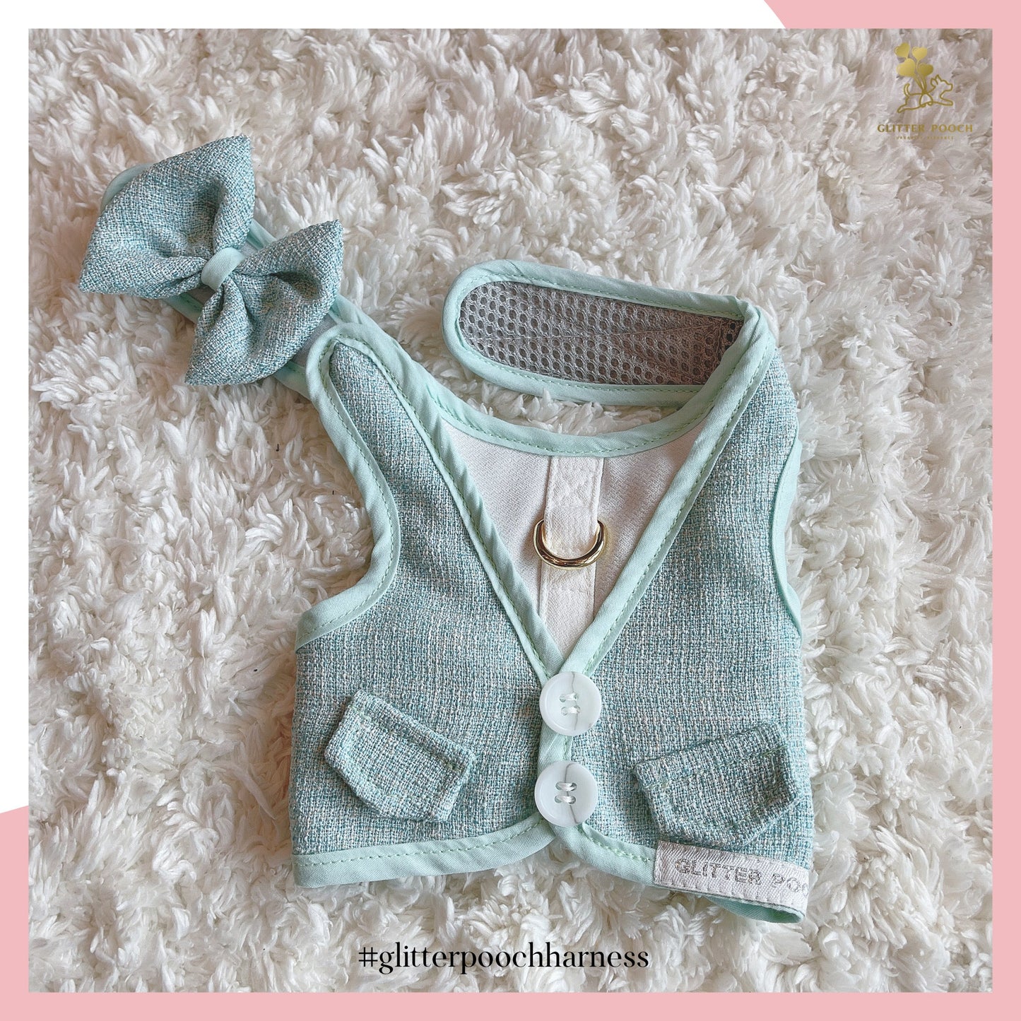 Glitter Pooch Harness ชุดรัดอก สายจูง เสื้อผ้า สุนัข, หมา, แมว, สัตว์เลี้ยง พร้อม สายจูง รุ่น Minty Boy