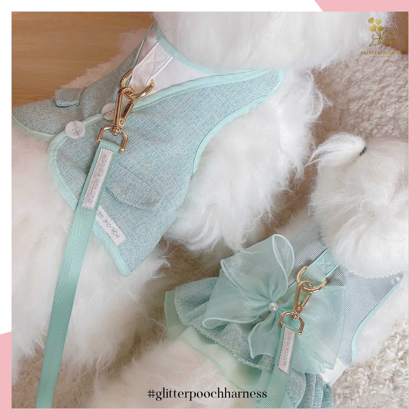 Glitter Pooch Harness ชุดรัดอก สายจูง เสื้อผ้า สุนัข, หมา, แมว, สัตว์เลี้ยง พร้อม สายจูง รุ่น Minty Boy