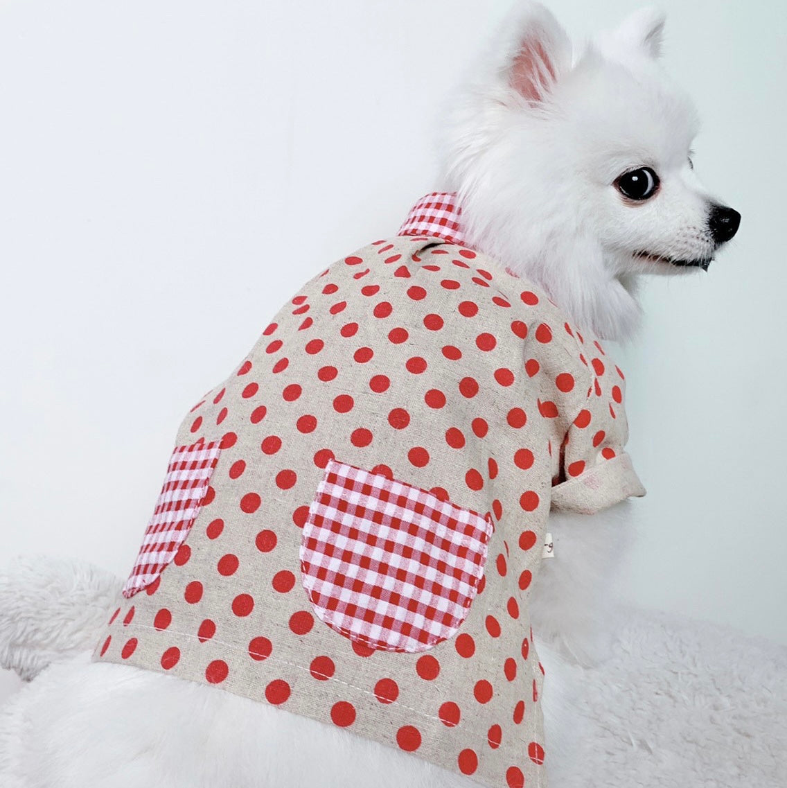 Animal-Go-Round เสื้อผ้าเครื่องแต่งกาย สัตว์เลี้ยง, หมา, แมว, สุนัข รุ่น Dotty Red