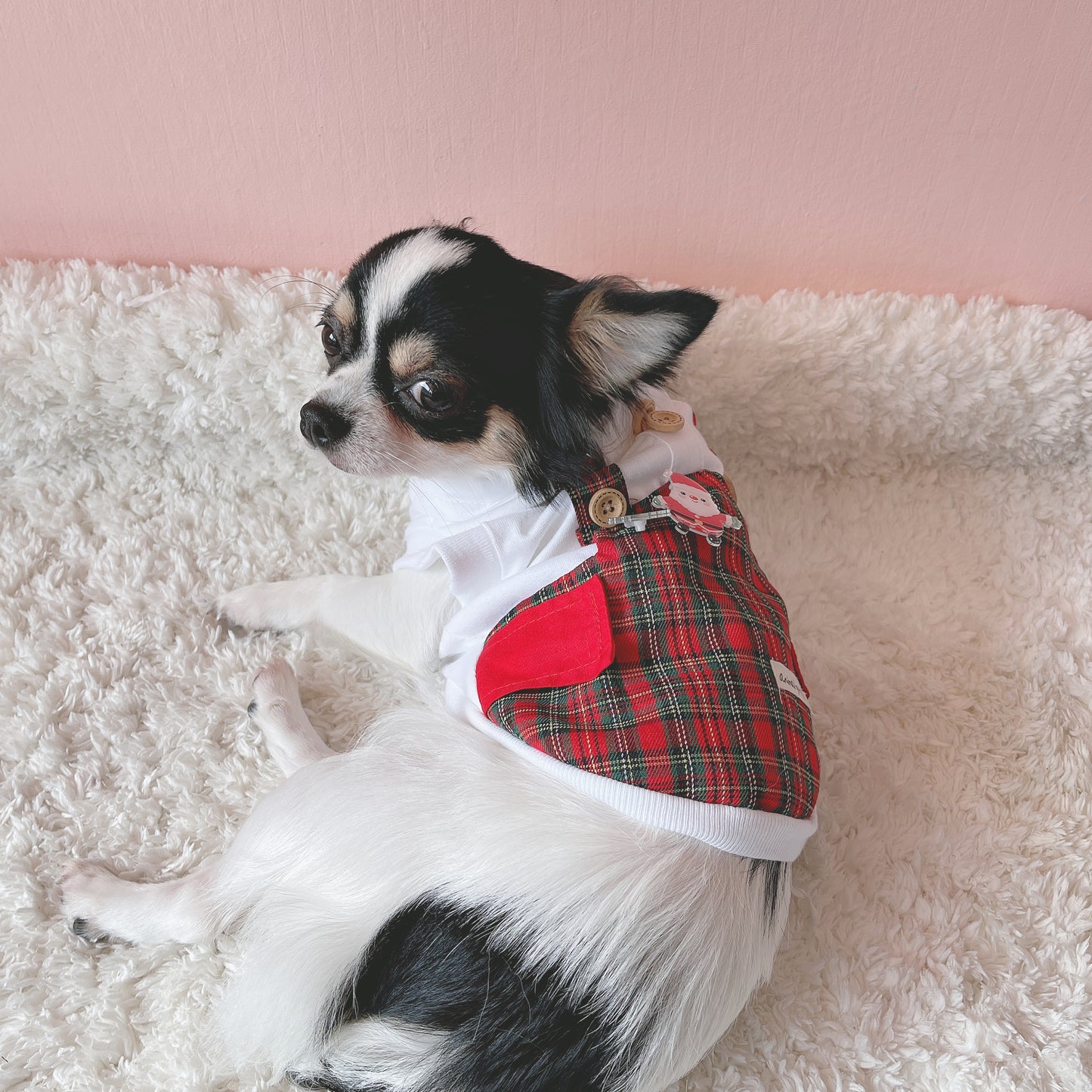 Animal-Go-Round เสื้อผ้าเครื่องแต่งกาย สัตว์เลี้ยง, หมา, แมว, สุนัข รุ่น New Natalie Boy (Christmas)