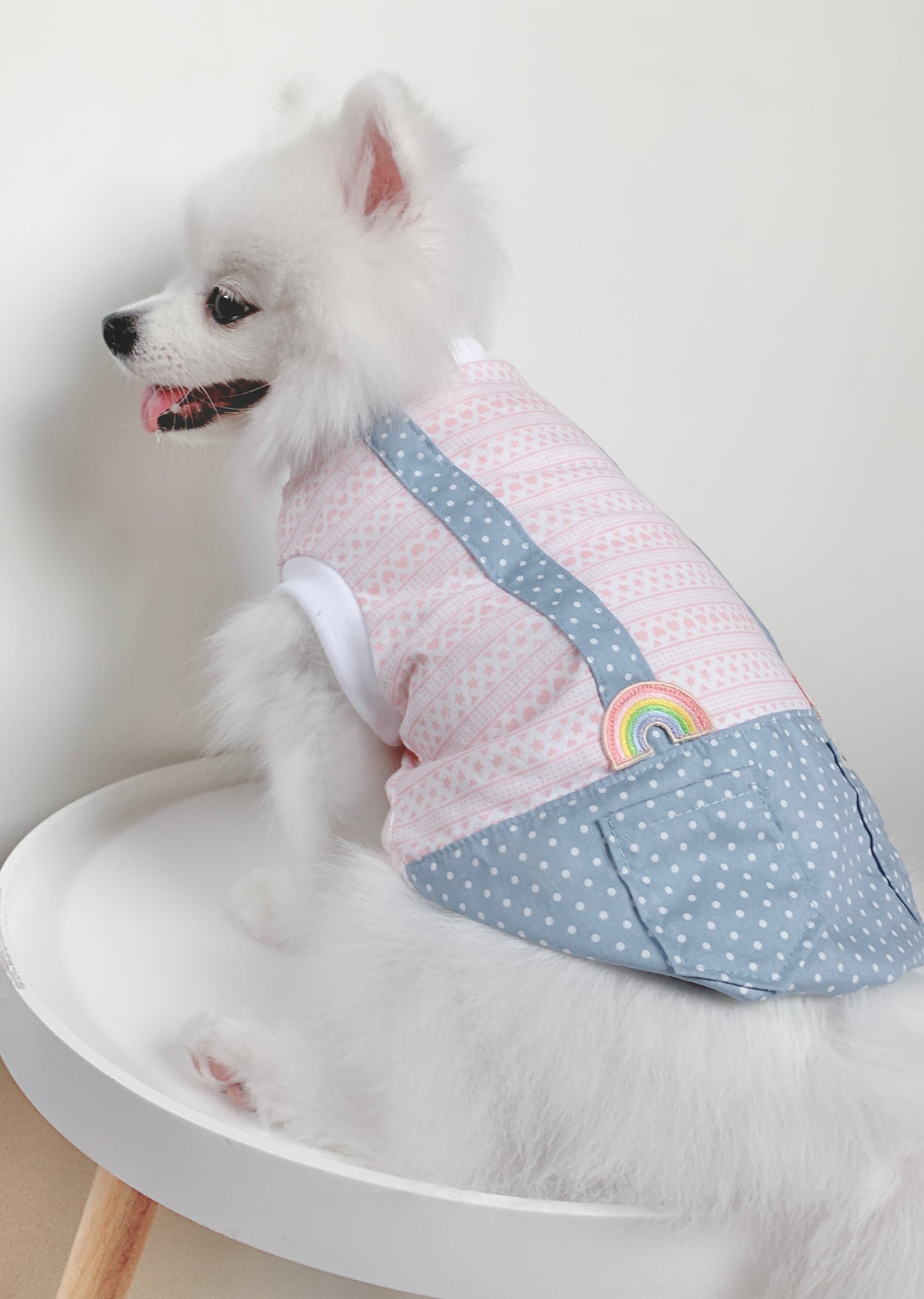 Animal-Go-Round เสื้อผ้าเครื่องแต่งกาย สัตว์เลี้ยง, หมา, แมว, สุนัข รุ่น Rainbow Boy