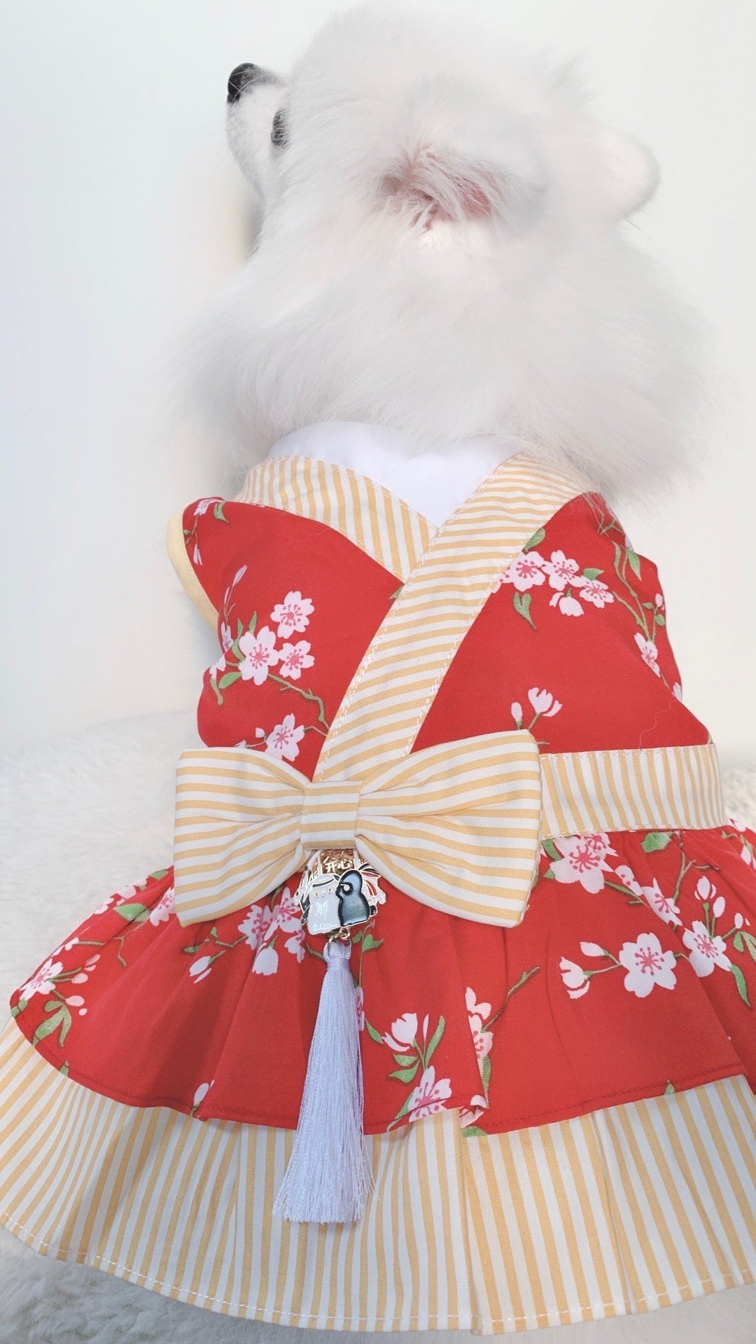 Animal-Go-Round เสื้อผ้าเครื่องแต่งกาย สัตว์เลี้ยง, หมา, แมว, สุนัข รุ่น Bunnies CNY Girl