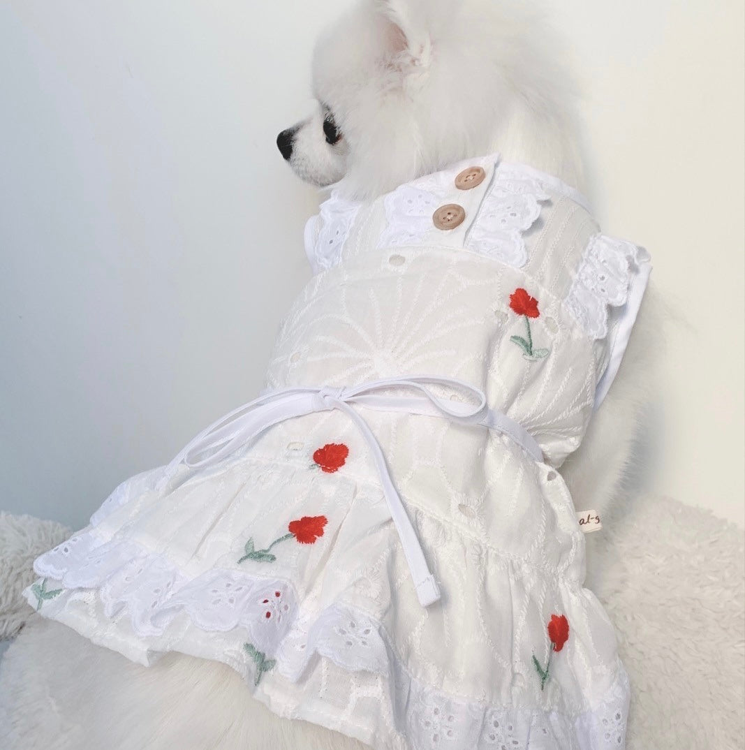 Animal-Go-Round เสื้อผ้าเครื่องแต่งกาย สัตว์เลี้ยง, หมา, แมว, สุนัข รุ่น Jaline Dress Red