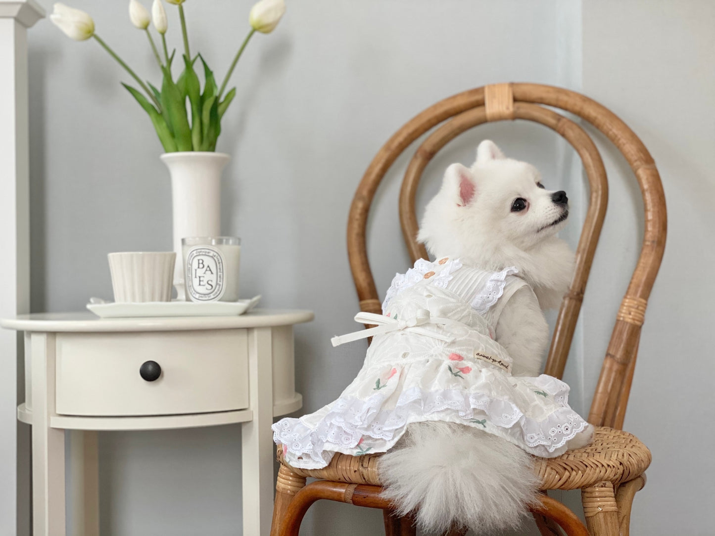 Animal-Go-Round เสื้อผ้าเครื่องแต่งกาย สัตว์เลี้ยง, หมา, แมว, สุนัข รุ่น Jaline Dress Pink