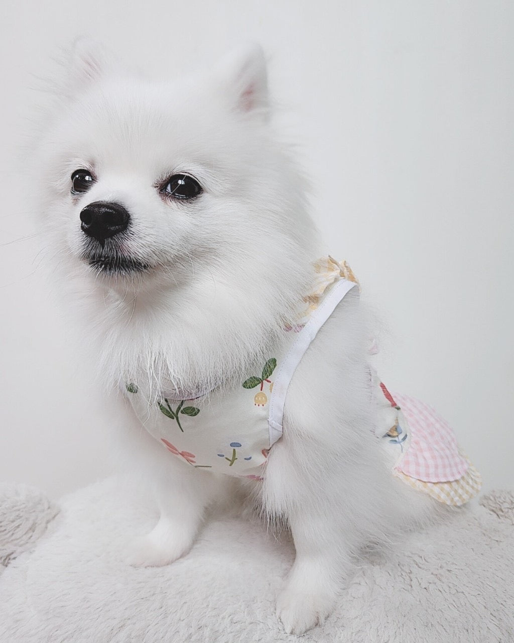 Animal-Go-Round เสื้อผ้าเครื่องแต่งกาย สัตว์เลี้ยง, หมา, แมว, สุนัข รุ่น Blossoms Garden
