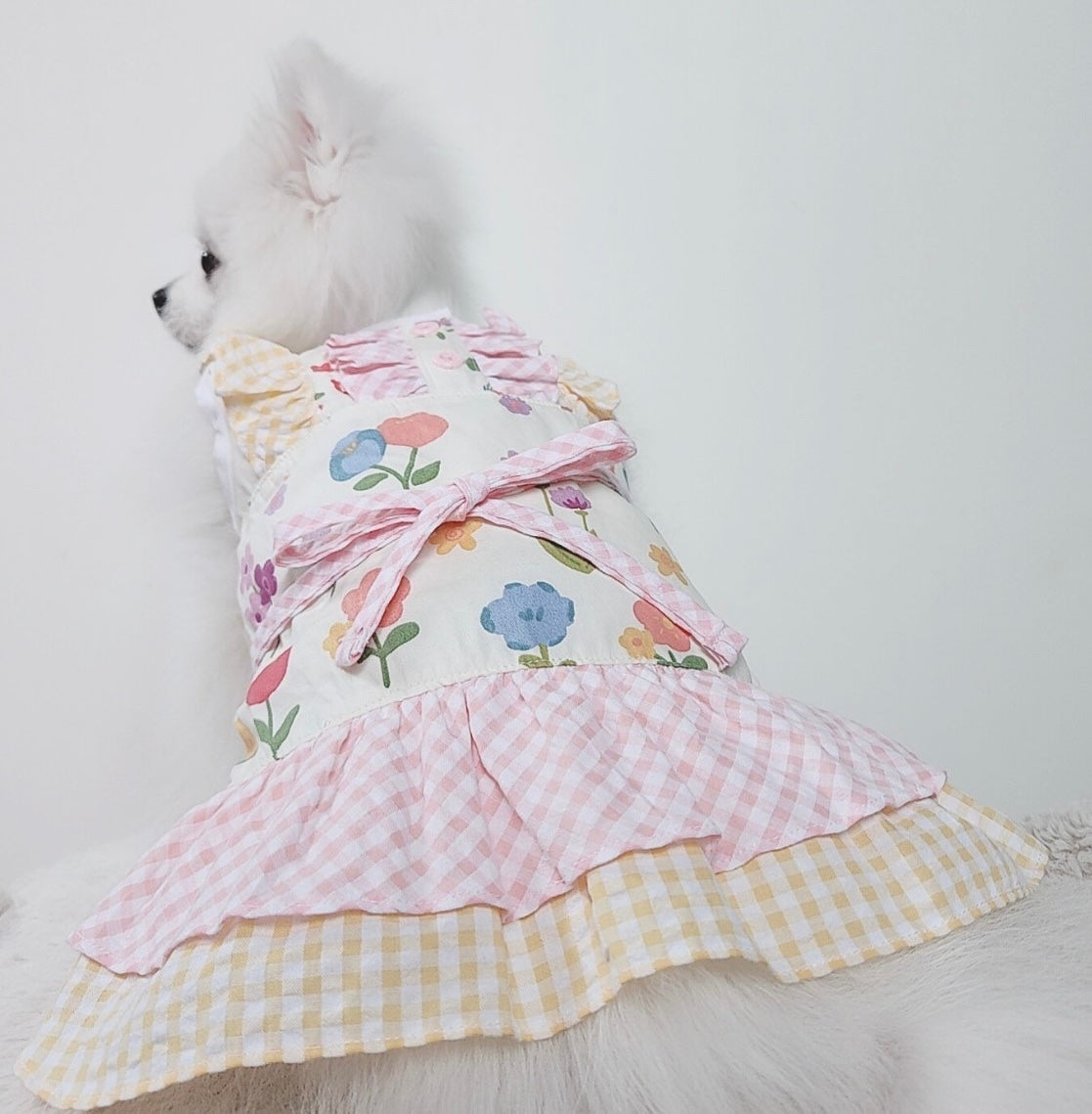 Animal-Go-Round เสื้อผ้าเครื่องแต่งกาย สัตว์เลี้ยง, หมา, แมว, สุนัข รุ่น Blossoms Garden