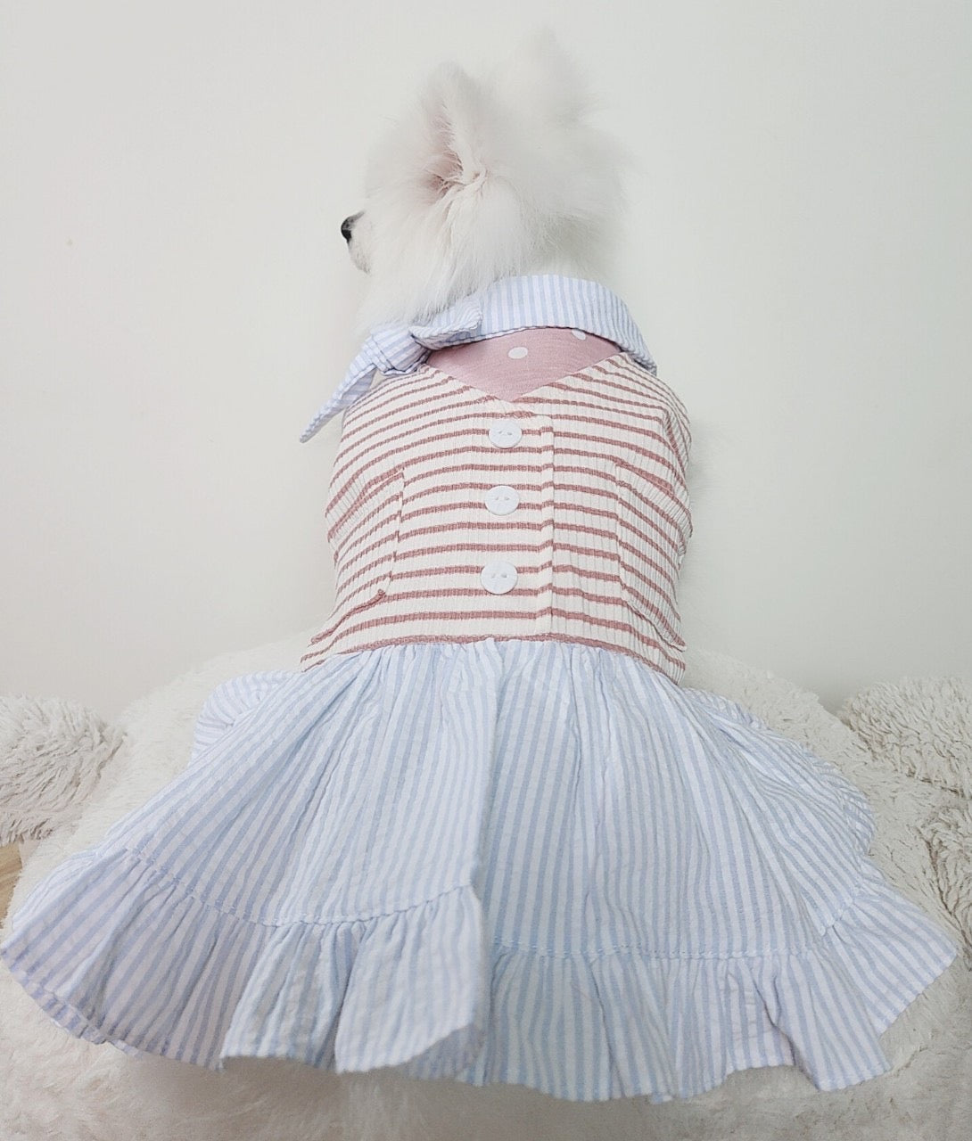 Animal-Go-Round เสื้อผ้าเครื่องแต่งกาย สัตว์เลี้ยง, หมา, แมว, สุนัข รุ่น Unnie