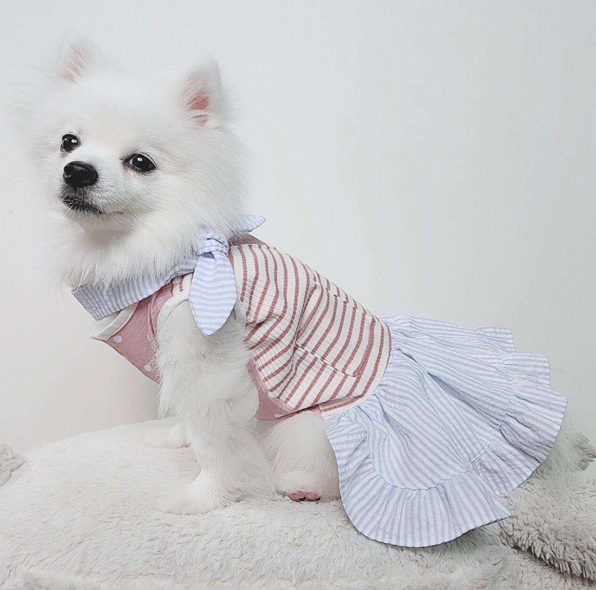 Animal-Go-Round เสื้อผ้าเครื่องแต่งกาย สัตว์เลี้ยง, หมา, แมว, สุนัข รุ่น Unnie