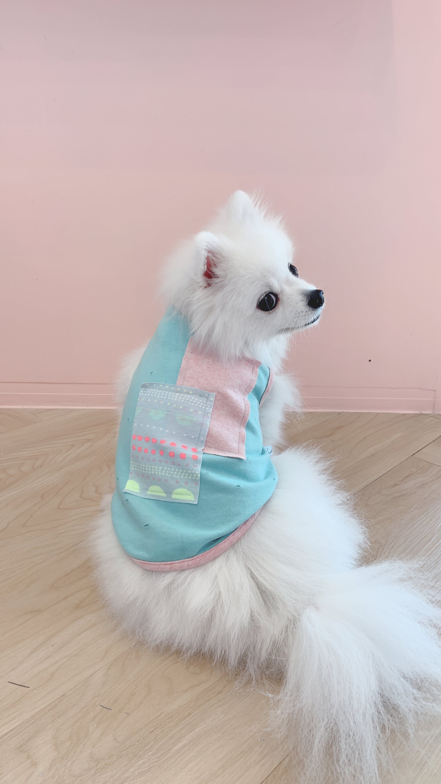 Cotton Tail เสื้อผ้าสัตว์เลี้ยง, หมา, แมว, สุนัข รุ่น Gummy Jelly Boy