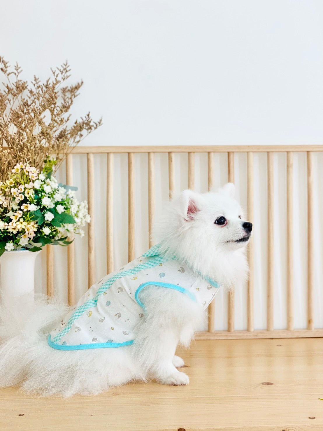 Animal-Go-Round เสื้อผ้าเครื่องแต่งกาย สัตว์เลี้ยง, หมา, แมว, สุนัข รุ่น Cookie Crumble