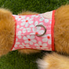 Waggles Bloom Pink เสื้อผ้า ชุดรัดอก สายจูง สุนัข, หมา, แมว, สัตว์เลี้ยง ขนาดเล็ก - ขนาดกลาง พร้อม สายจูง