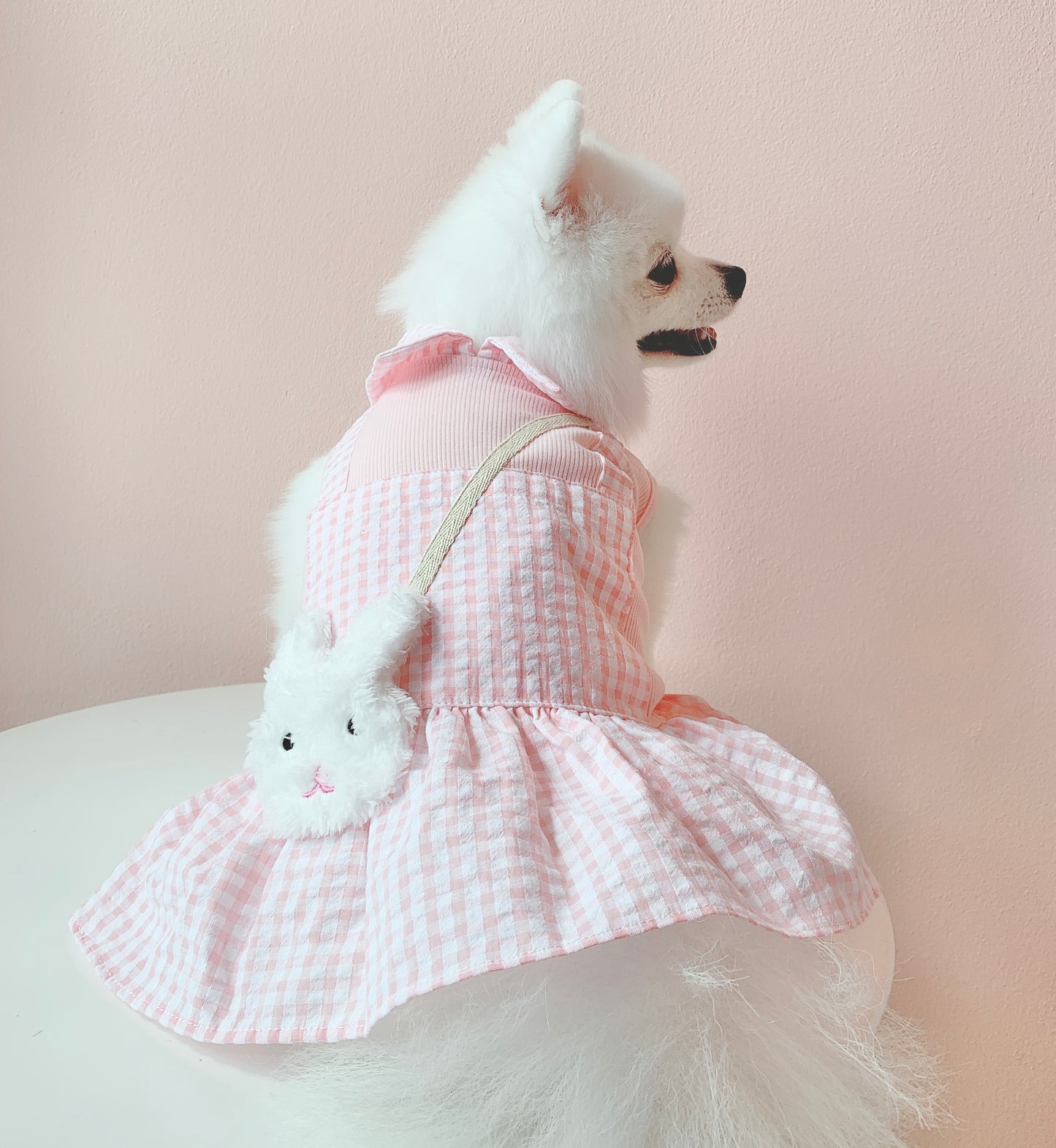 Animal-Go-Round เสื้อผ้าเครื่องแต่งกาย สัตว์เลี้ยง, หมา, แมว, สุนัข รุ่น Bunny Pink Girl