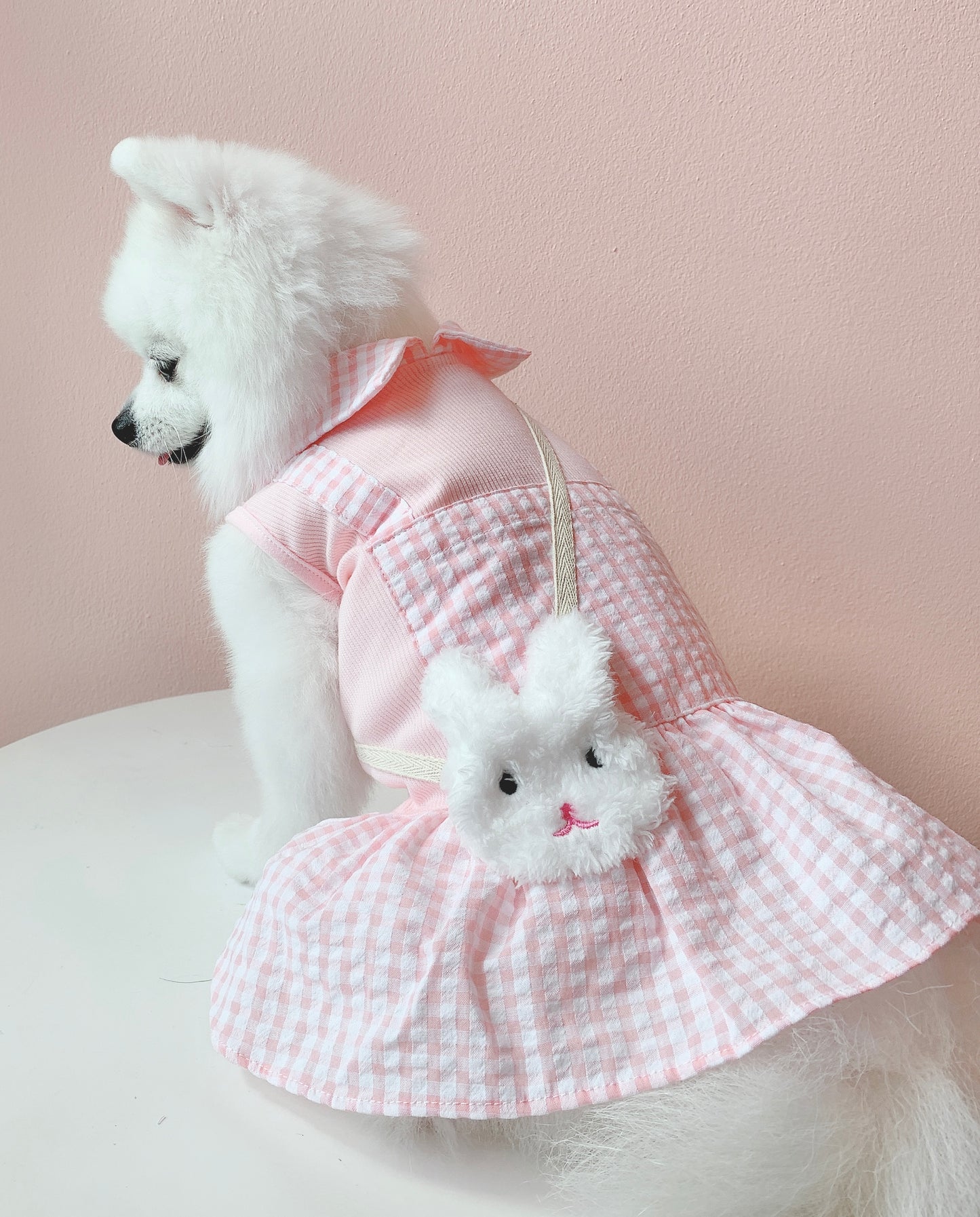 Animal-Go-Round เสื้อผ้าเครื่องแต่งกาย สัตว์เลี้ยง, หมา, แมว, สุนัข รุ่น Bunny Pink Girl