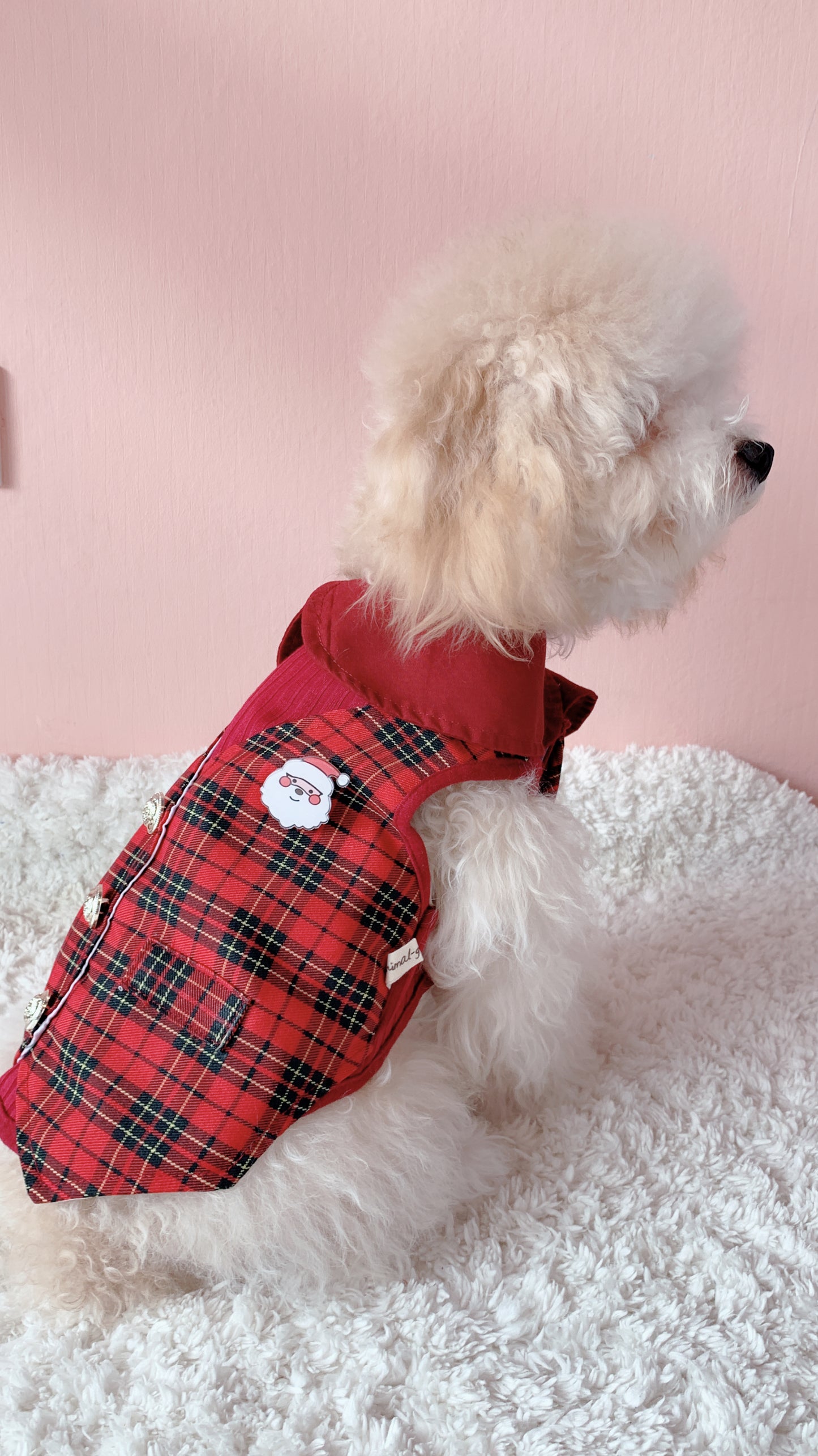 Animal-Go-Round เสื้อผ้าเครื่องแต่งกาย สัตว์เลี้ยง, หมา, แมว, สุนัข รุ่น Natasha Boy (Christmas)