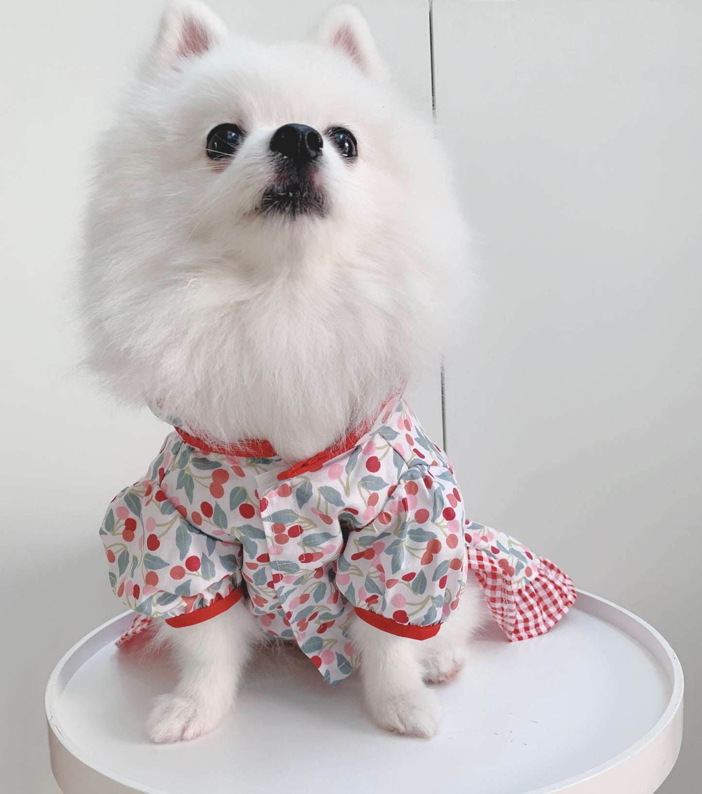 Animal-Go-Round เสื้อผ้าเครื่องแต่งกาย สัตว์เลี้ยง, หมา, แมว, สุนัข รุ่น Chinese Cherry Red Girl