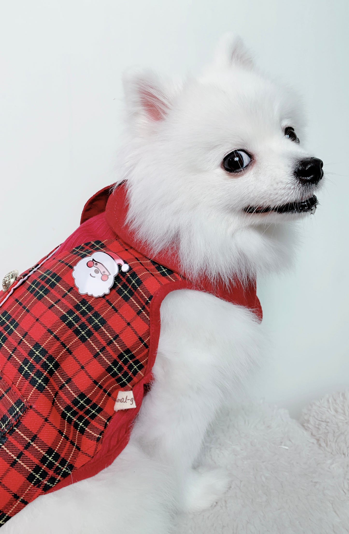 Animal-Go-Round เสื้อผ้าเครื่องแต่งกาย สัตว์เลี้ยง, หมา, แมว, สุนัข รุ่น Natasha Boy (Christmas)