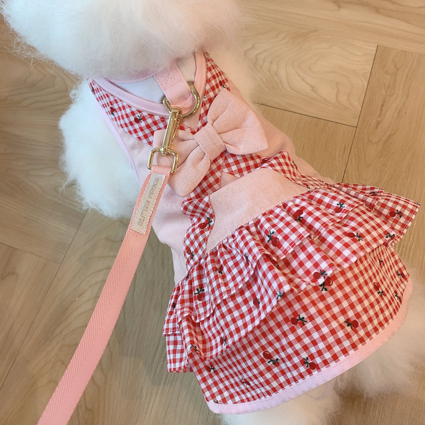 Glitter Pooch ชุดรัดอก สายจูง เสื้อผ้า สุนัข, หมา, แมว, สัตว์เลี้ยง พร้อม สายจูง รุ่น Let's Picnic Girl