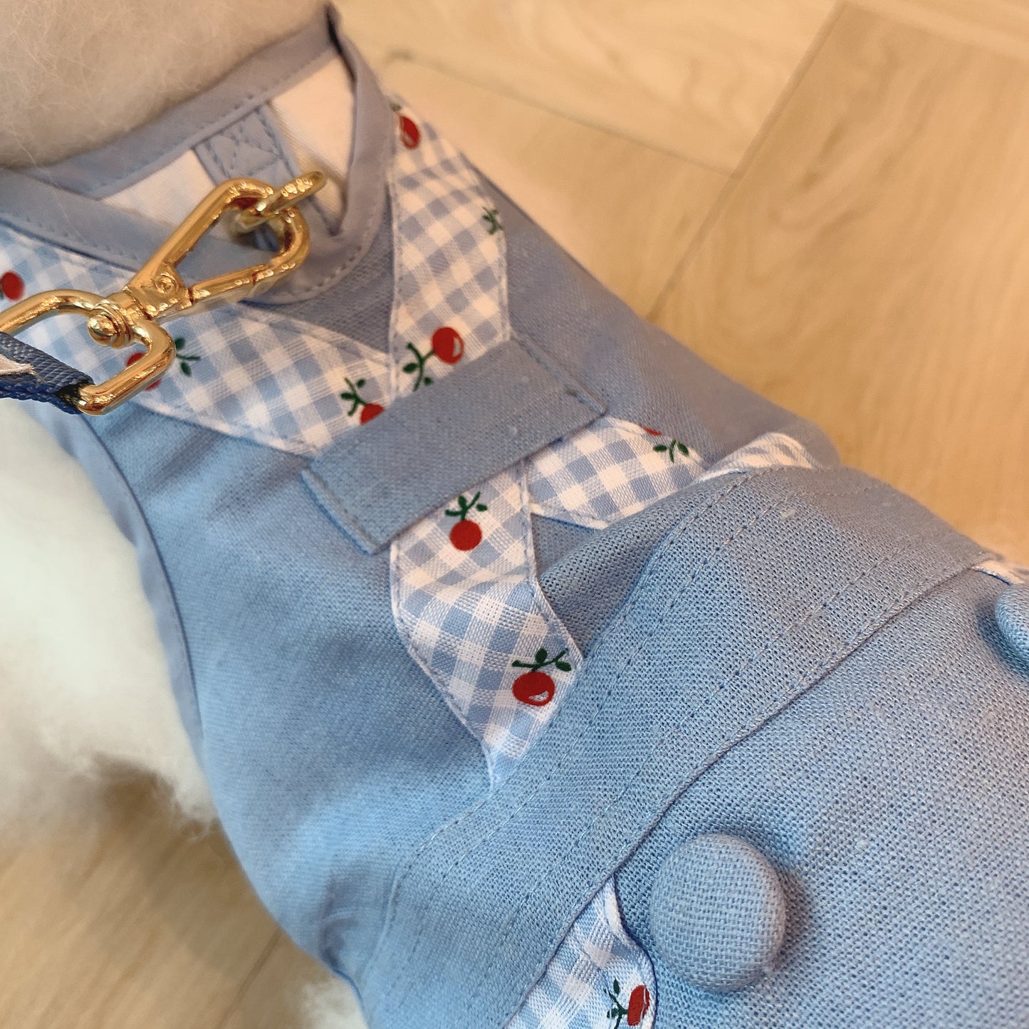 Glitter Pooch ชุดรัดอก สายจูง เสื้อผ้า สุนัข, หมา, แมว, สัตว์เลี้ยง พร้อม สายจูง รุ่น Let's Picnic Boy