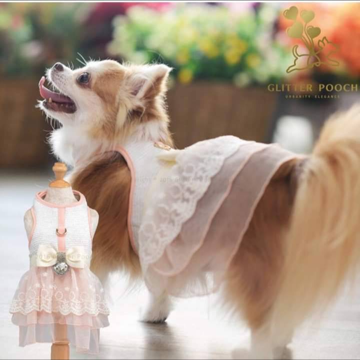 Glitter Pooch ชุดรัดอก สายจูง เสื้อผ้า สุนัข, หมา, แมว, สัตว์เลี้ยง พร้อม สายจูง รุ่น Lady Marmalade