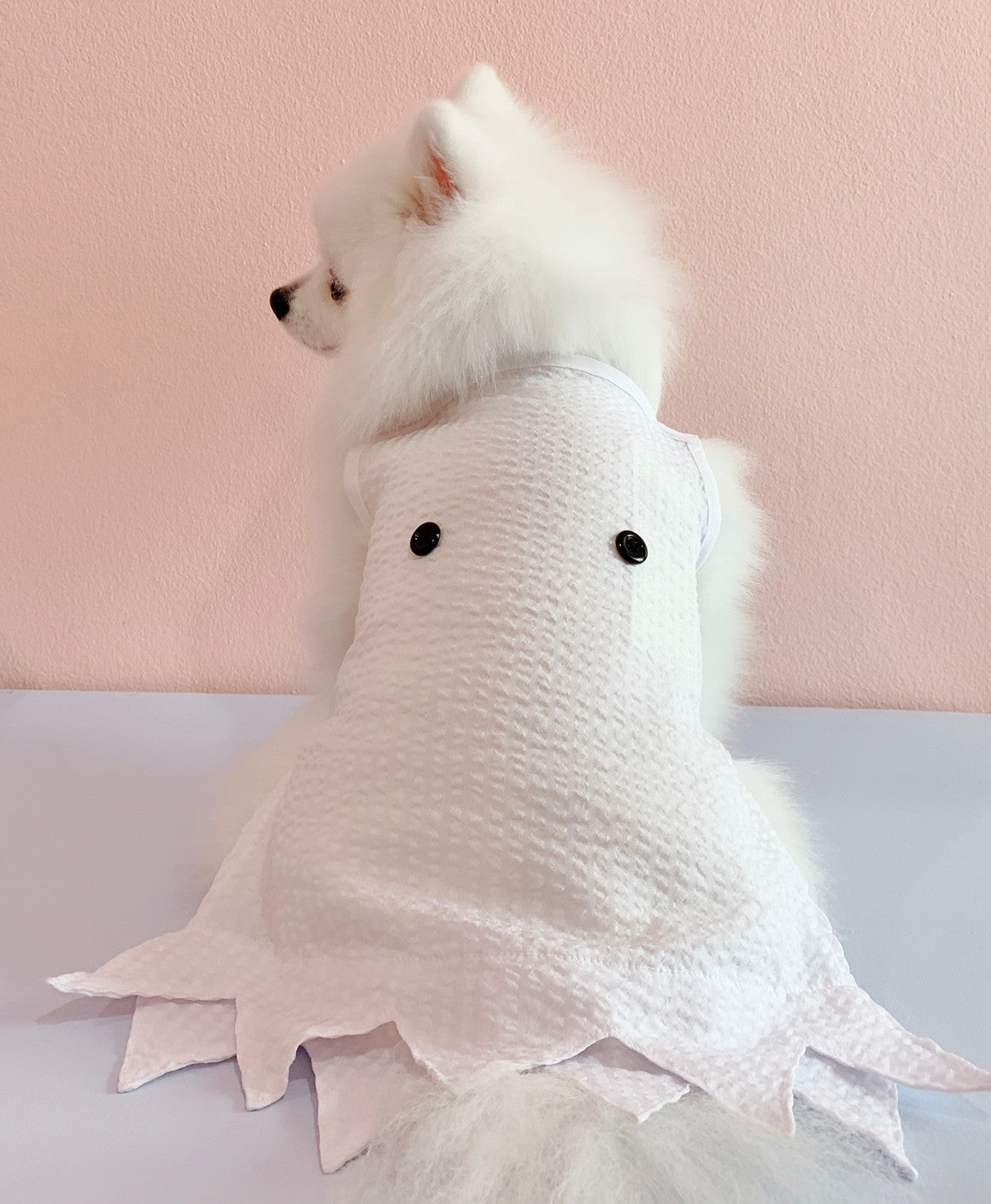 Animal-Go-Round เสื้อผ้าเครื่องแต่งกาย สัตว์เลี้ยง, หมา, แมว, สุนัข รุ่น Casper